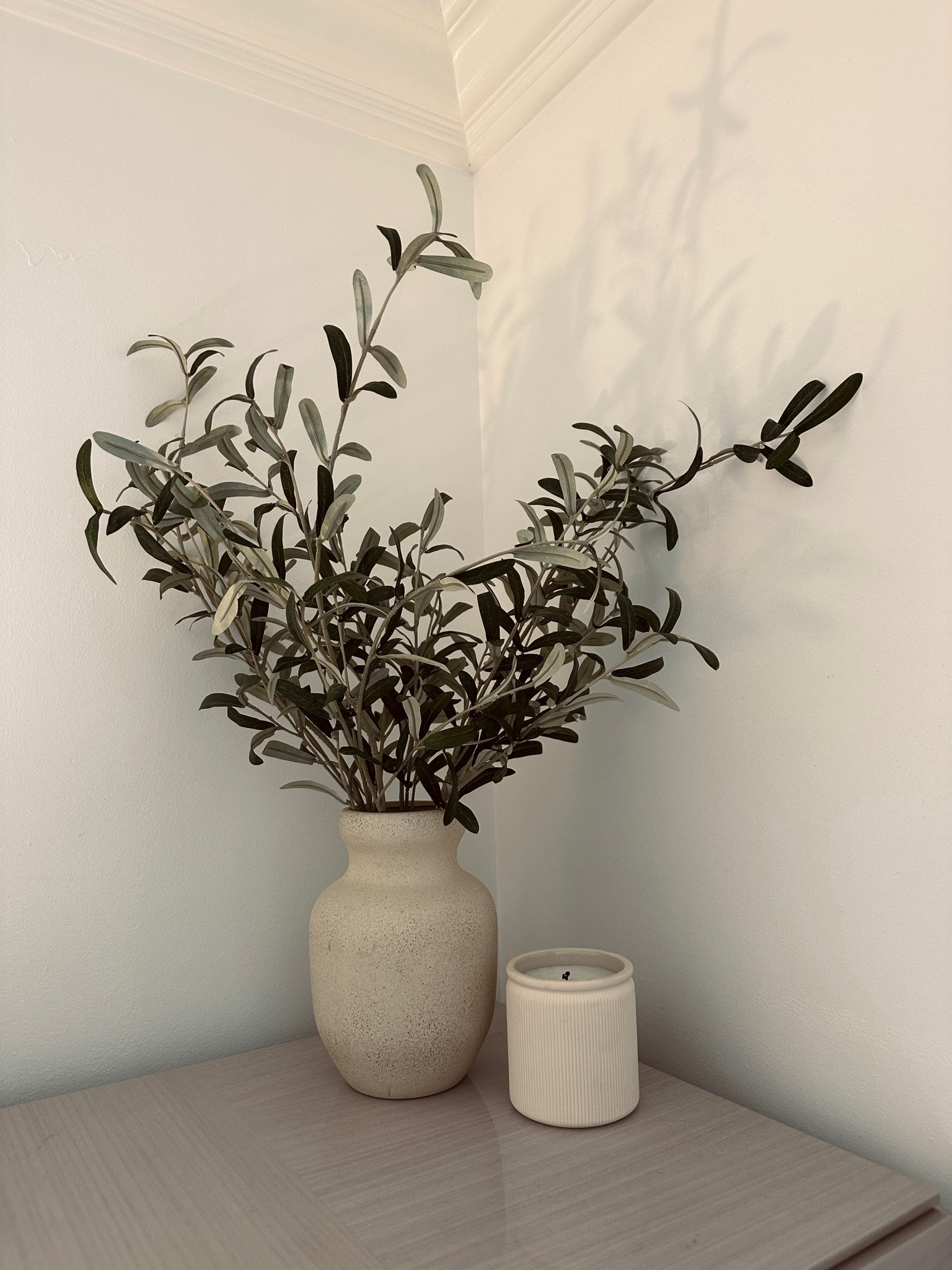 New target finds #targetfinds #plants #candles #target 