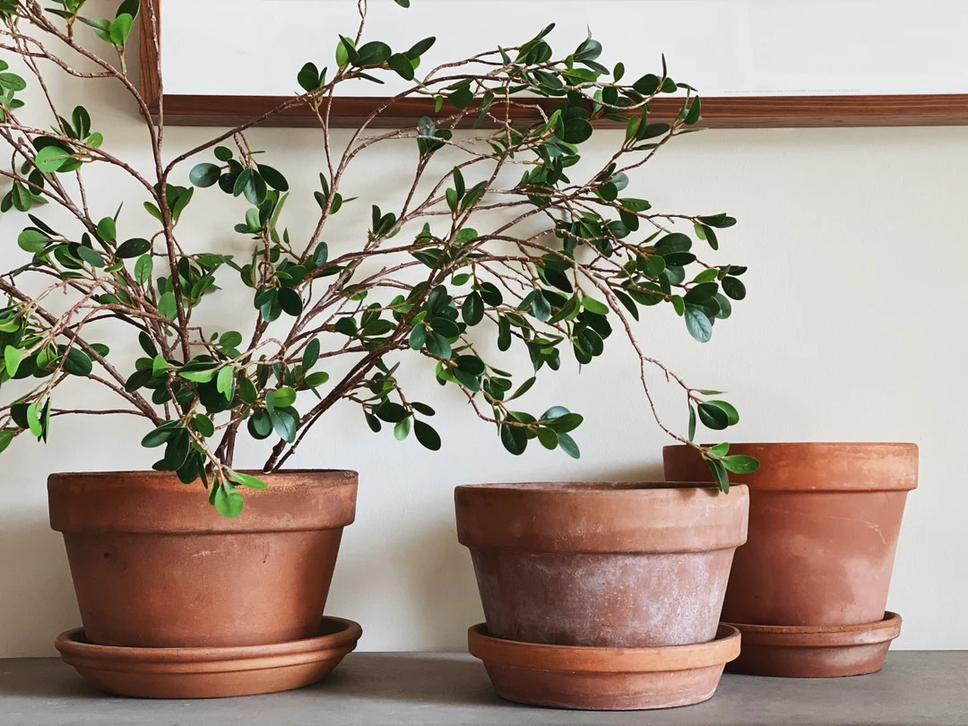 VINTAGE Assorted XL Terracotta Pots 7 3/4 in Diameter and up European Farmhouse Aged Terracotta P... | Etsy (US)