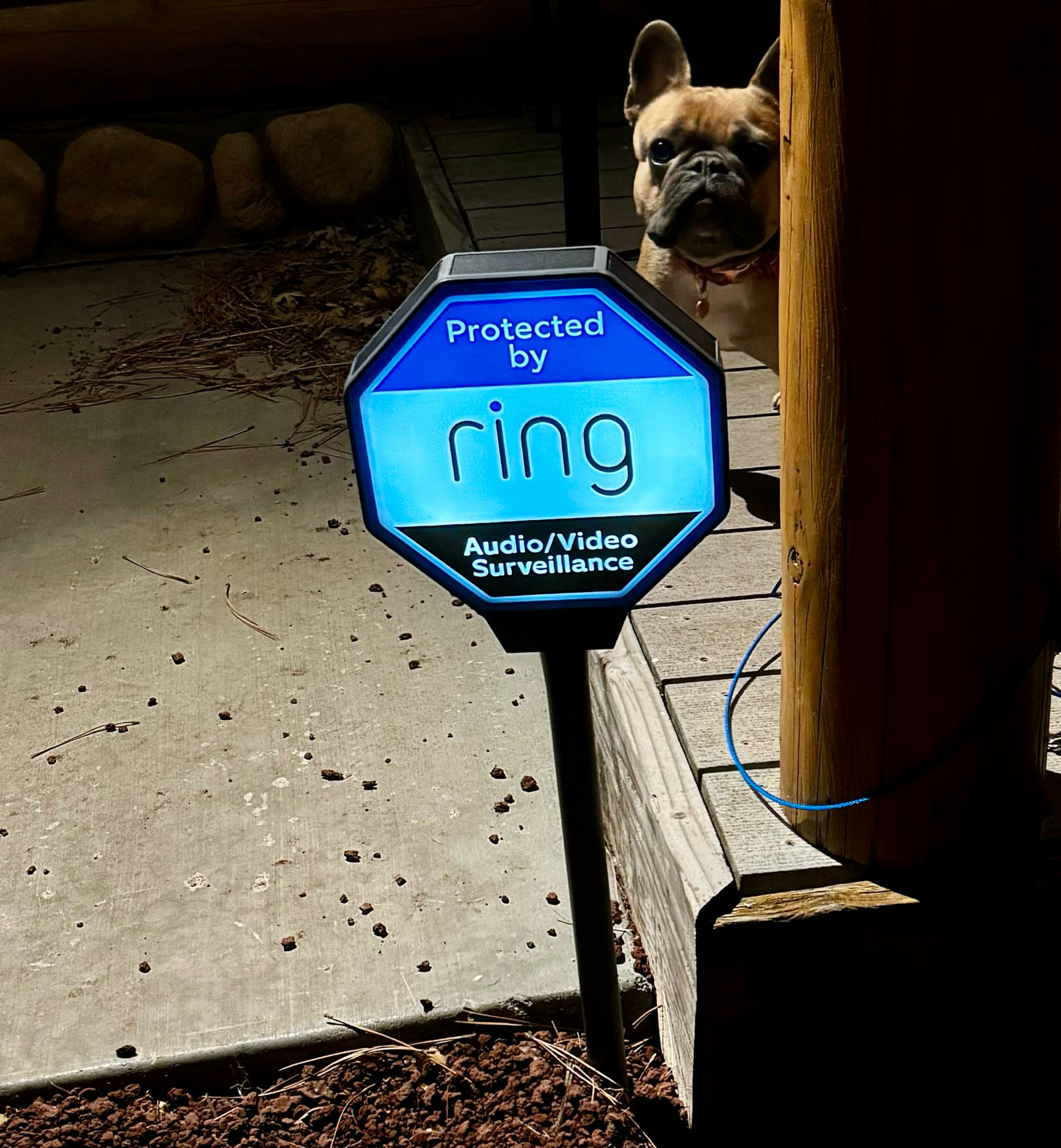I found this amazing sign & had to have it. With not always being at the cabin it’s a necessity to have security. This sign is solar powered. So easy to set up & lets any possible intruder know you have top notch security. Which our cabin is set up with ring. Potato is not included 
🐶😂

#LTKhome #LTKGiftGuide #LTKCyberWeek