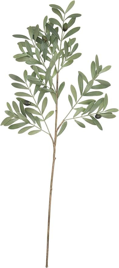 Amazon.com: Creative Co-Op Olive Branch Faux Botanical, Green : Home & Kitchen | Amazon (US)