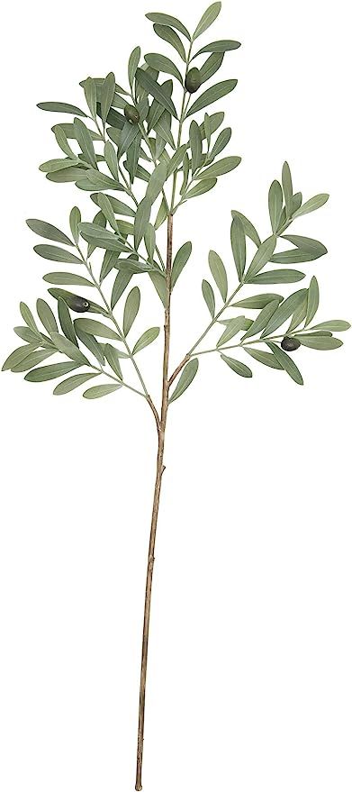 Creative Co-Op Olive Branch Faux Botanical, Green | Amazon (US)