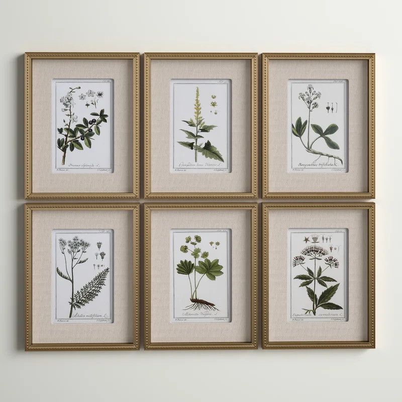 Botanical Study' - 6 Piece Picture Frame Graphic Art Print Set on Paper | Wayfair North America