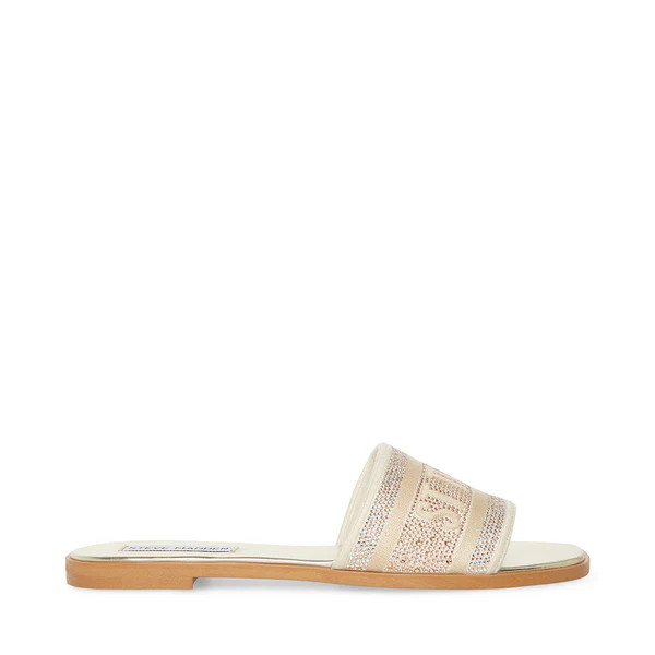 KNOX-R GOLD | Steve Madden (US)