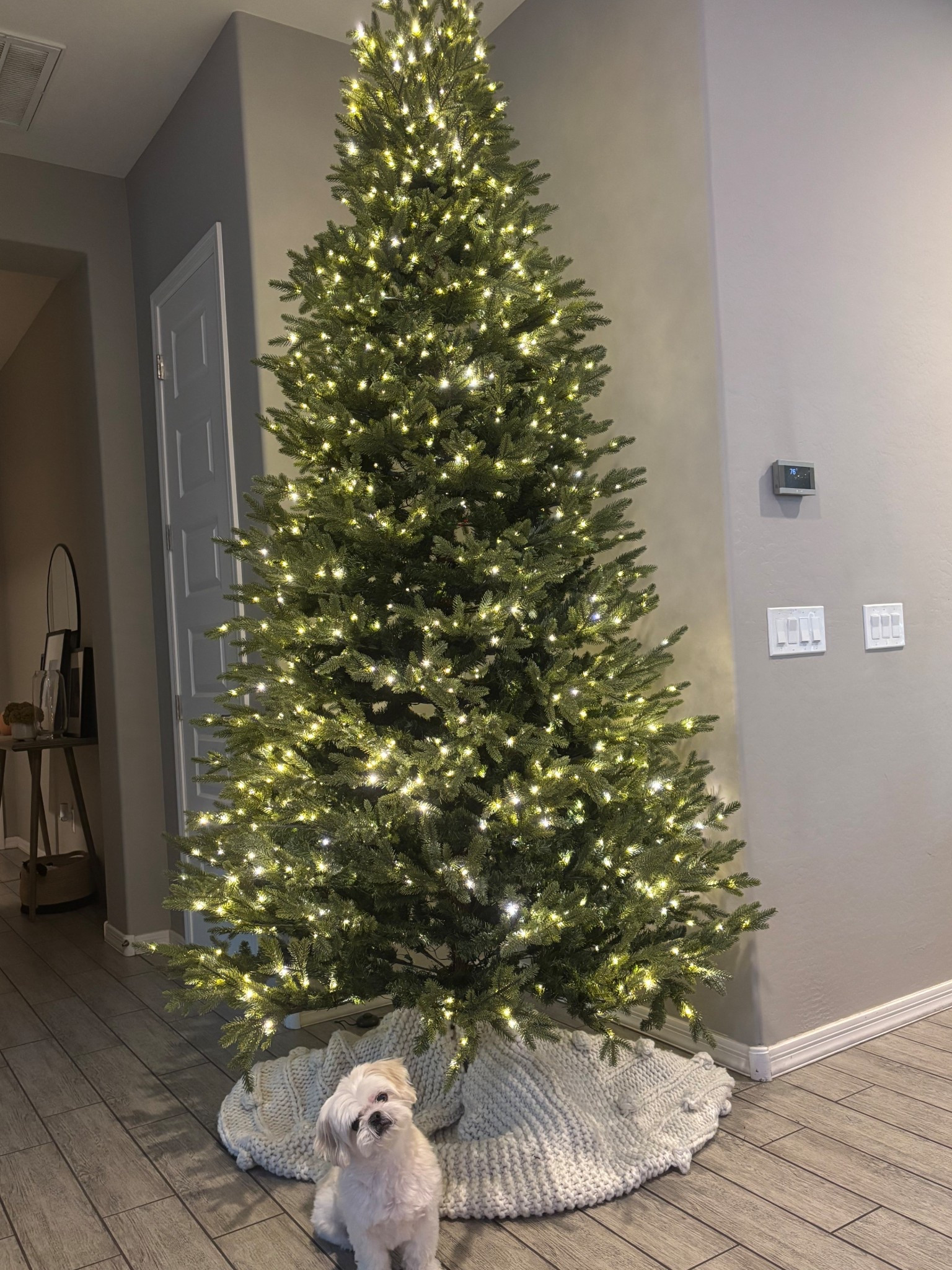 Best looking tree!!!🎄 // Home Depot 9 ft. Pre-Lit LED Jackson Noble Fir Artificial Christmas Tree — Literally identical to the viral tree Grand Duchess Balsam Fir, but costs a hundred or so dollars less✨ 

#christmas #holidays #christmastree #noblefirtree #bestseller #homedecor #holidaydecor #viraltree #bestseller  #jacksonnoble #artificialchristmastree #homedepot #homedepotfinds #homedeportree #homefinds #9ftchristmastree #viralchristmastreesale #homedepotchristmastree #artificialtree #artificialchristmastree #homedepotviraltree #bestseller #christmasornaments #amazonfinds #amazonornaments #kirklandhome #targetfinds #targethome #mcgeeandco #treegarland #kirklandgarland #christmastree #artificialtree #velvetornaments #pinecone #bellornaments #treeskirt #targetchristmasdecor #treescollars #christmas2025 #trending

#LTKHoliday #LTKSeasonal #LTKHome