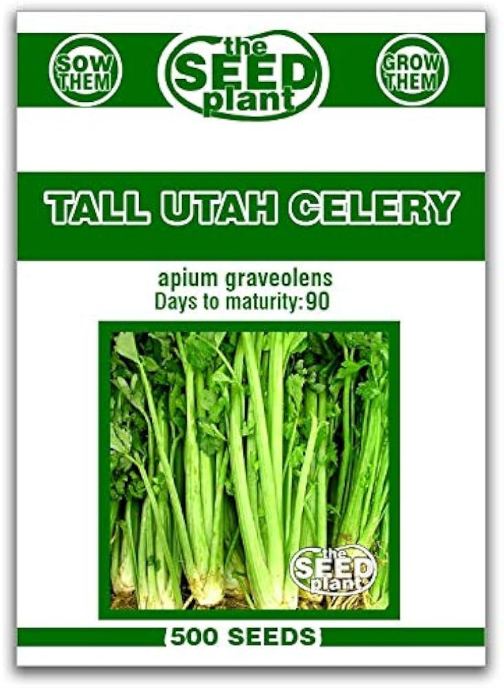 Tall Utah Celery Seeds - 500 Seeds Non-GMO | Amazon (US)