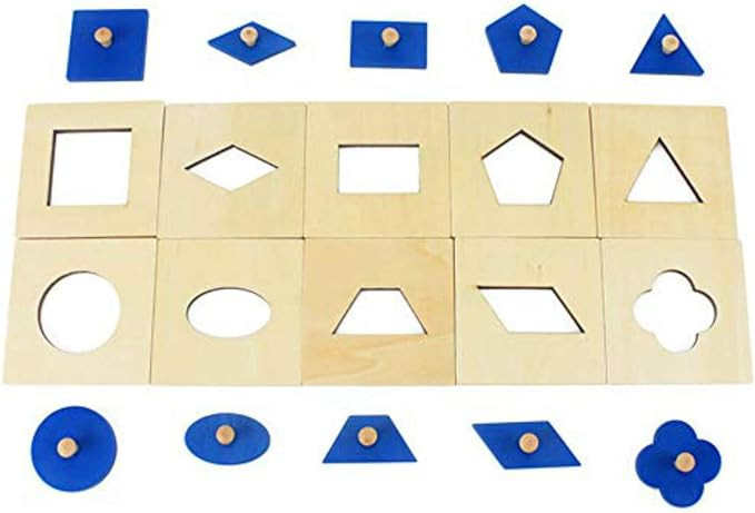 DANNI Family Version Baby Shape Cognition Toy Montessori Wood Geometric Insets Set/10 Early Child... | Amazon (US)