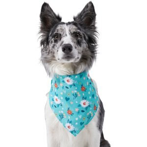 Frisco Spring Floral Dog & Cat Bandana | Chewy.com