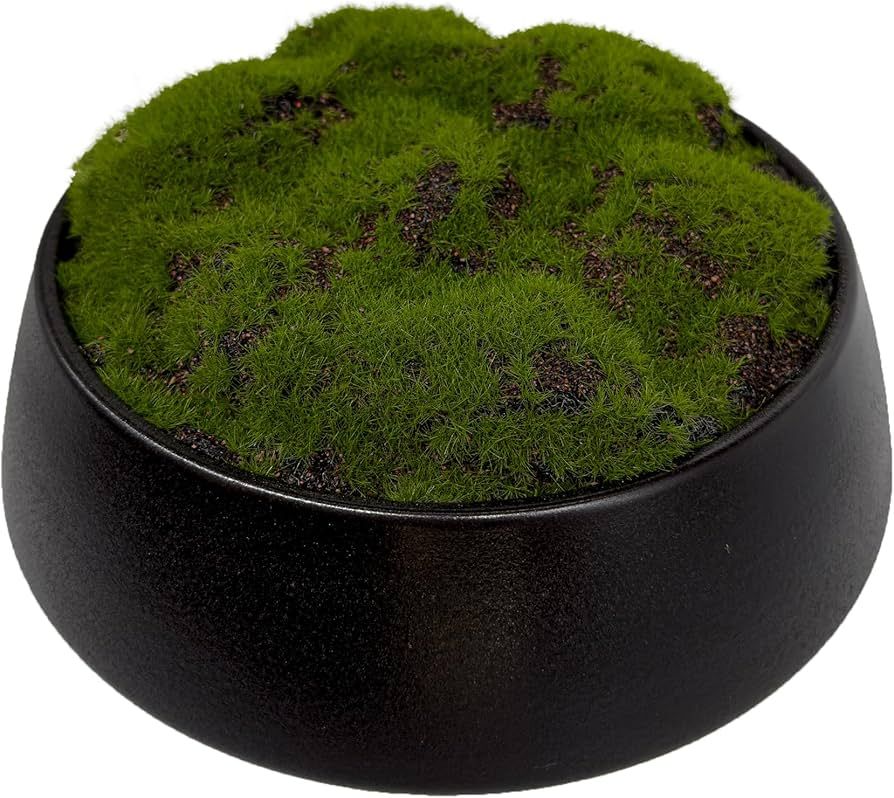 Moss Bowl | 8" Diameter | Artificial | Lightweight Ceramic Bowl | Home Décor | Amazon (US)