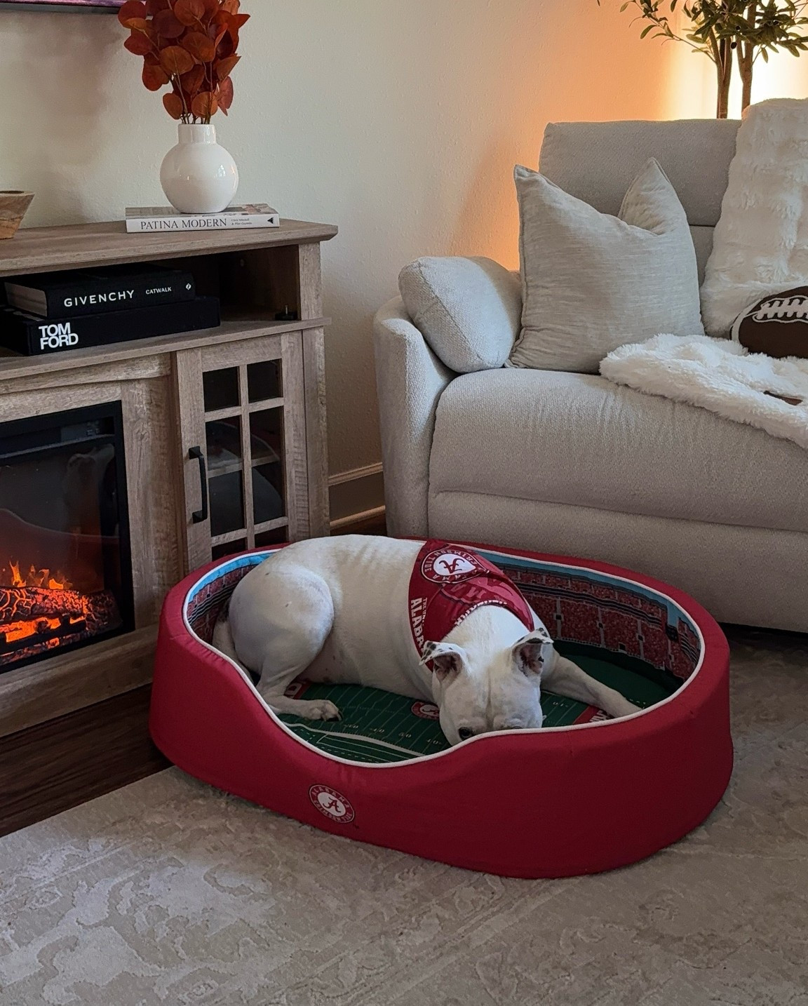 College Football Dog Beds!! 🏈✨🐾