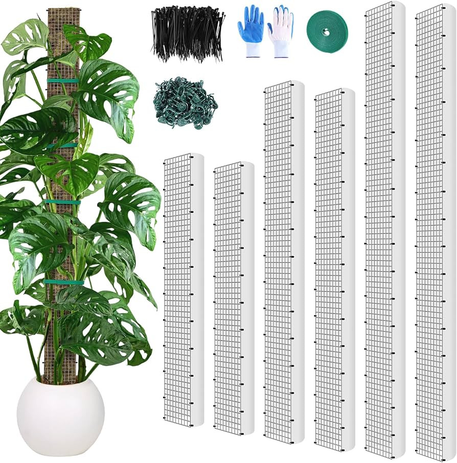 24"+40"+60" Metal Moss Pole - 6 Pack D Shape Sphagnum Moss Pole, Moss Poles for Climbing Plants, ... | Amazon (US)