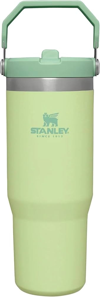 STANLEY IceFlow Stainless Steel Tumbler - Vacuum Insulated Water Bottle for Home, Office or Car R... | Amazon (US)