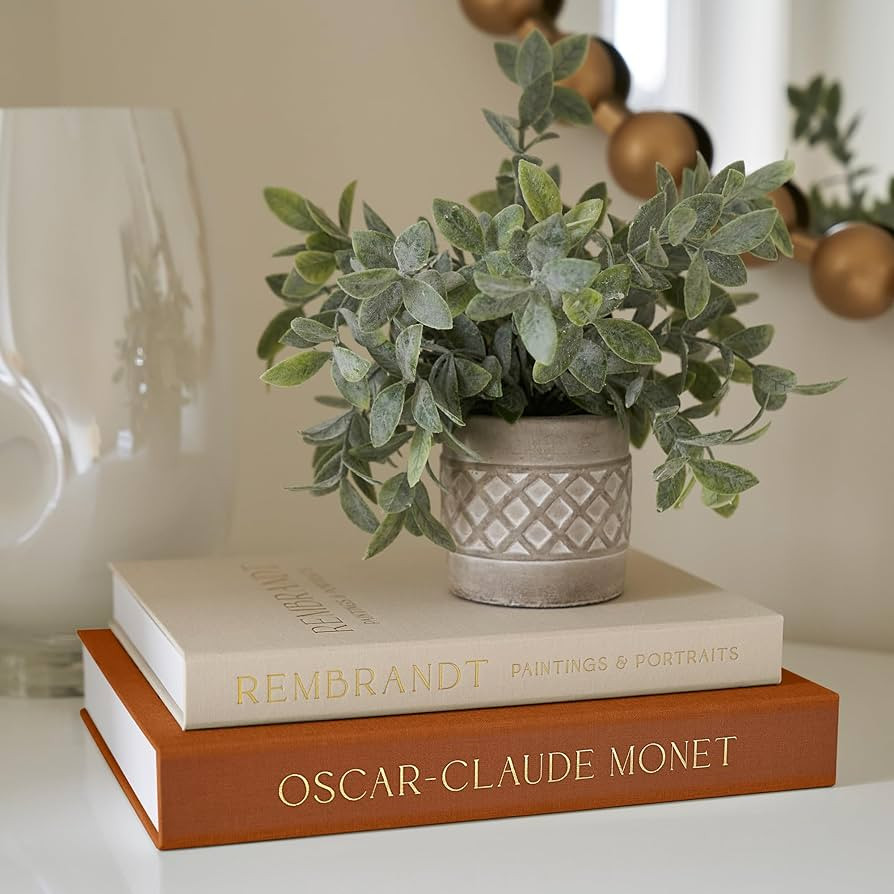 Beautiful Decorative Books - Set of 2 Linen Boxes Enhance Your Coffee Table, Bookshelf or Mantle ... | Amazon (US)