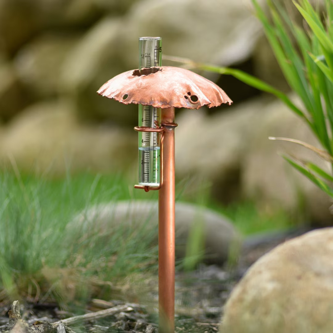 Copper Mushroom Rain Gauge - Etsy | Etsy (US)