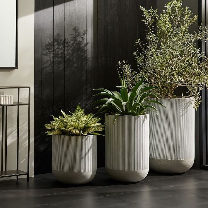 Textured Radius Ficonstone Indoor/Outdoor Planters | West Elm (US)