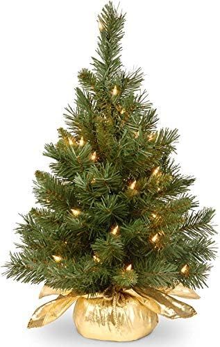 National Tree Company Pre-lit Artificial Mini Christmas Tree | Includes Small Lights and Cloth Ba... | Amazon (US)