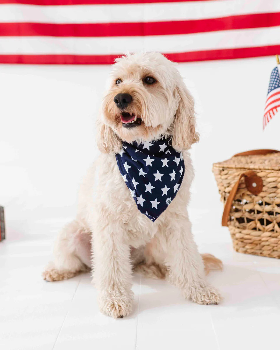 Navy Star Pet Bandana | Bums & Roses