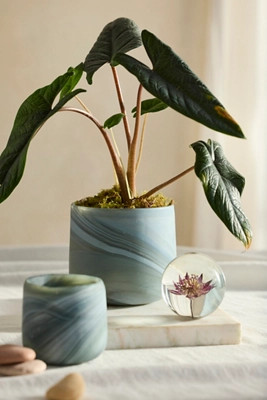 Marbled Glass Mini Planter | Anthropologie (US)