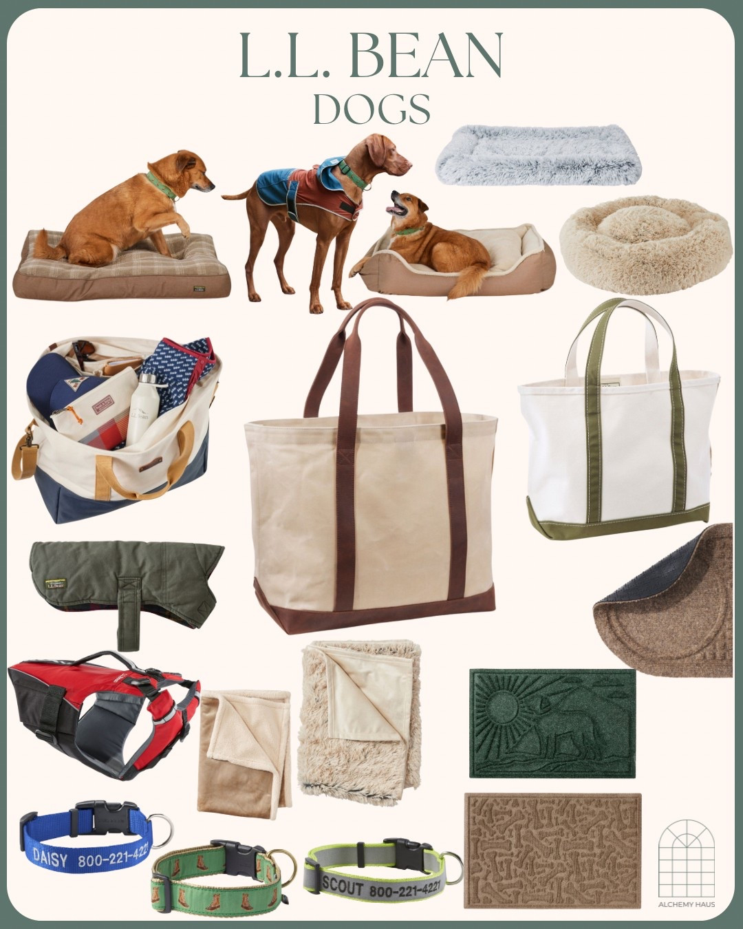 There’s nothing cuter than bringing home your brand new puppy in a personalized L.L. Bean canvas tote 🤎🐾

From durable dog beds and warm coats to travel blankets and seat covers, L.L. Bean’s dog collection has everything you need for outdoor adventures and cozy snuggles at home. 🏡 

Their monogrammed canvas bags are also perfect for carrying toys, treats, and essentials — especially if they are spending the weekend at grandma's! 🧳 

Shop these timeless, quality pet must-haves for you and your pup, today! 🐕✨

⸻

#LLBean #LLBeanDogs #LLBeanStyle #DogLovers #NewPuppyEssentials #DogMomLife #PetParentMustHaves #PersonalizedTote #CanvasToteBag #LLBeanTote #DogAccessories #DogBedGoals #DogBlanket #PetTravelBag #DogGear #DogCoats #PetLoversGift #DogGiftIdeas #CozyForPups #PuppyLove #DogStyle #LLBeanFinds #DogProducts #DogEssentials

#LTKPets