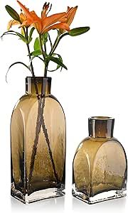 TERESA'S COLLECTIONS Amber Glass Vase for Flowers, Large Bottle Fall Vase Set of 2, Thickened Dec... | Amazon (US)