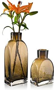 TERESA'S COLLECTIONS Glass Vase for Flowers, Large Bottle Flower Vase Set of 2, Amber Thickened D... | Amazon (US)