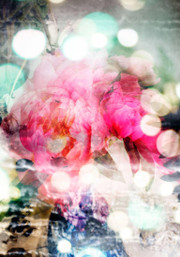 Isabelle MeninPetites Natures #13- abstract soft color photo of ponies flower pink white dots2015