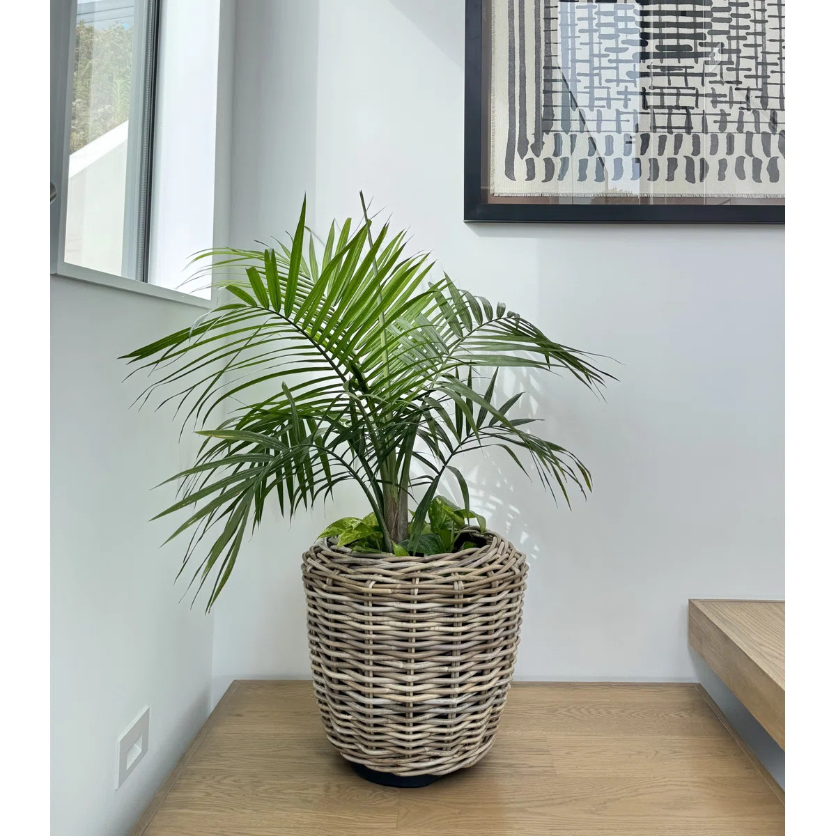 Ayriauna Handmade Urn Planter | Wayfair North America