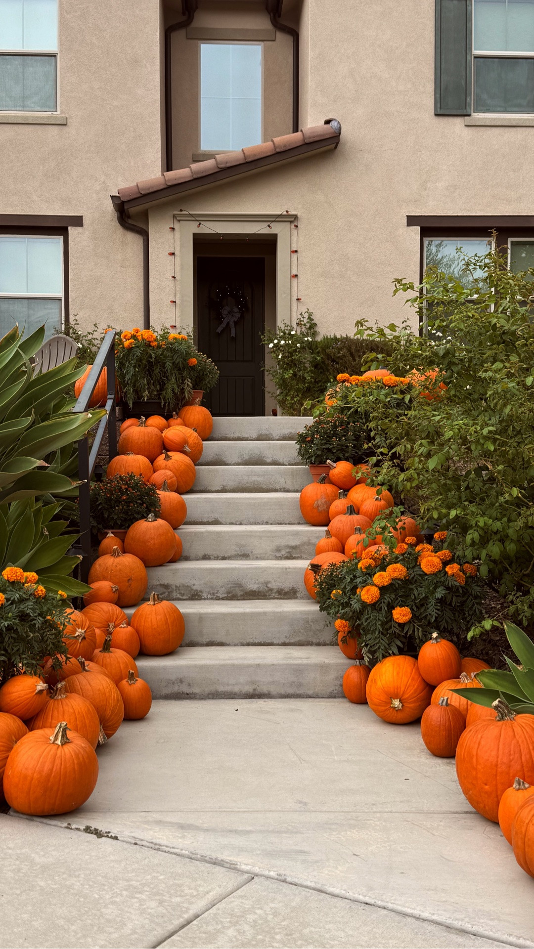 Halloween exterior !!!! 🖤🧡🖤🧡 #halloween #halloweendecor #home  

 #LTKSeasonal #LTKU #LTKHome