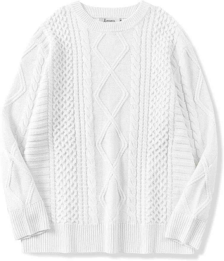 ANRABESS Sweaters for Women Oversized Cable Knit Fall Long Sleeve Crewneck Casual Pullover Sweate... | Amazon (US)