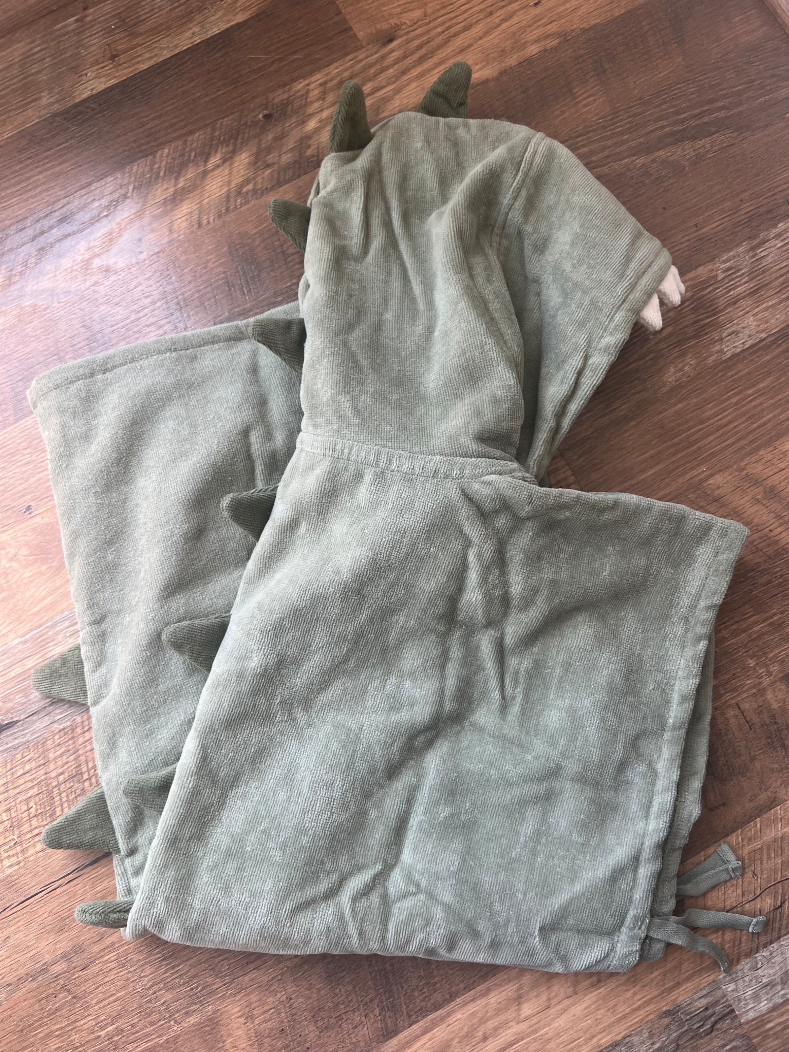 Toddler Dino hooded towel, rounding up things for our upcoming beach trip

#LTKSwim #LTKTravel #LTKKids