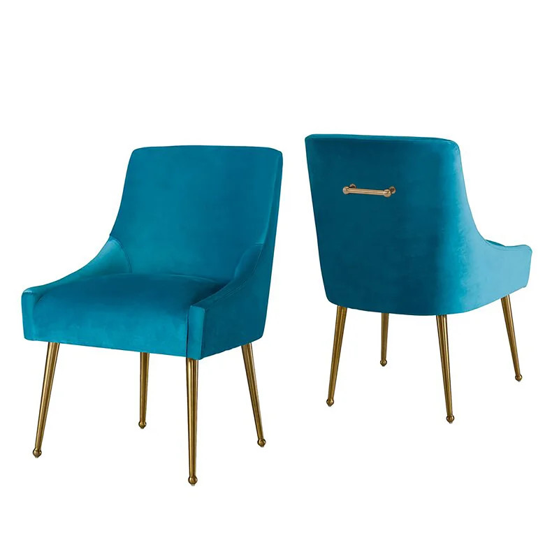 Magallanes Velvet Side Chair (Set of 2) | Wayfair North America