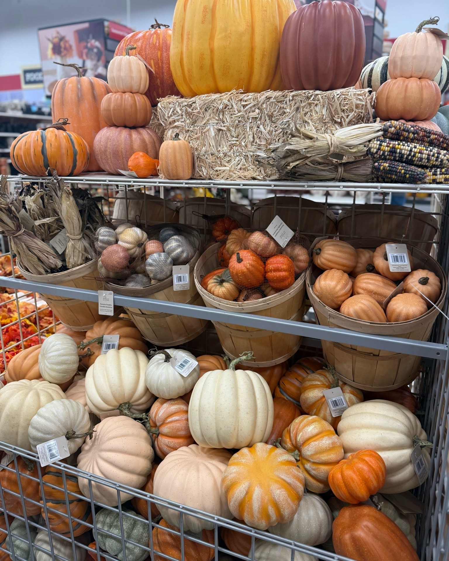 New fall arrivals | decorative pumpkins | fall decor