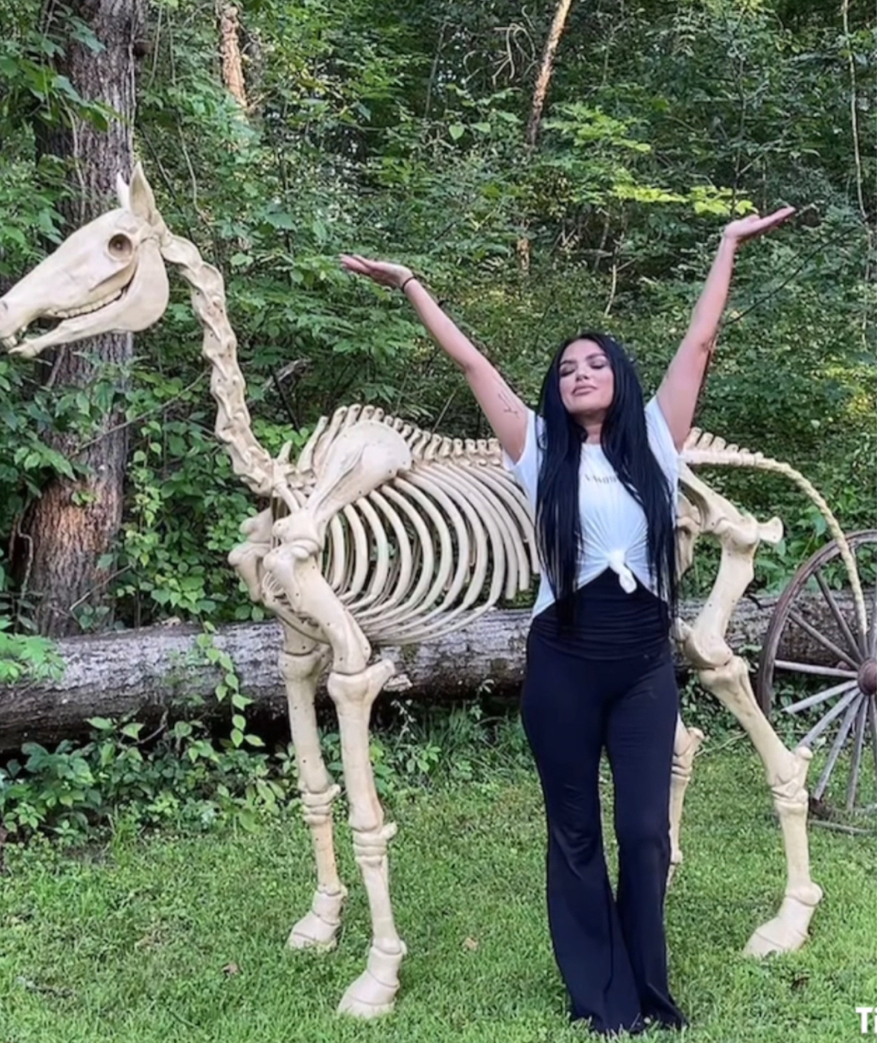 Skeleton Horse #halloween #skeletonhorse #spookyseason #homedepot

#LTKSeasonal #LTKhome #LTKFind