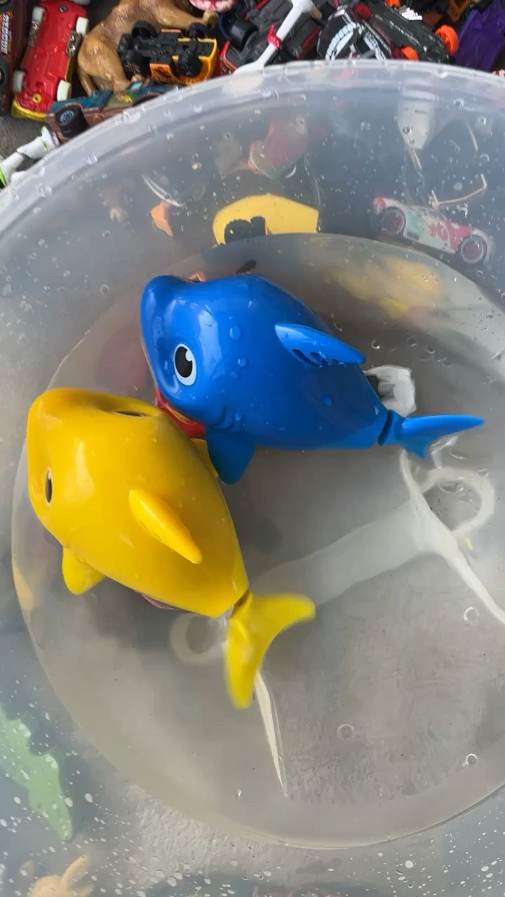 Robo alive junior baby hot sale shark