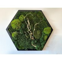 Moss Frame, Art, Mosswall, Moss Picture, Home Decoration | Etsy (US)