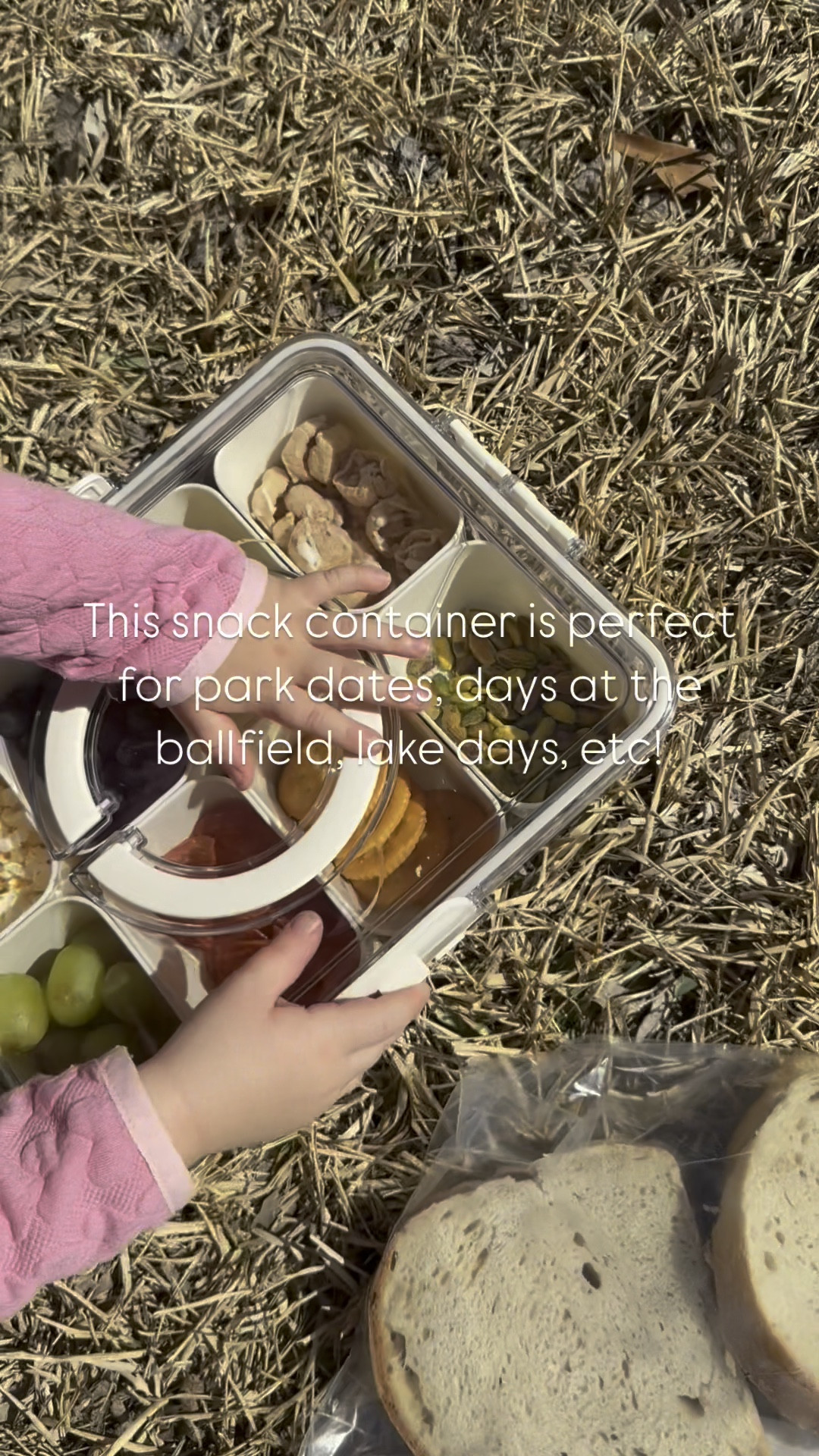 Perfect snack container! 

On sale for $10 on Amazon 

#LTKFamily #LTKSaleAlert #LTKKids