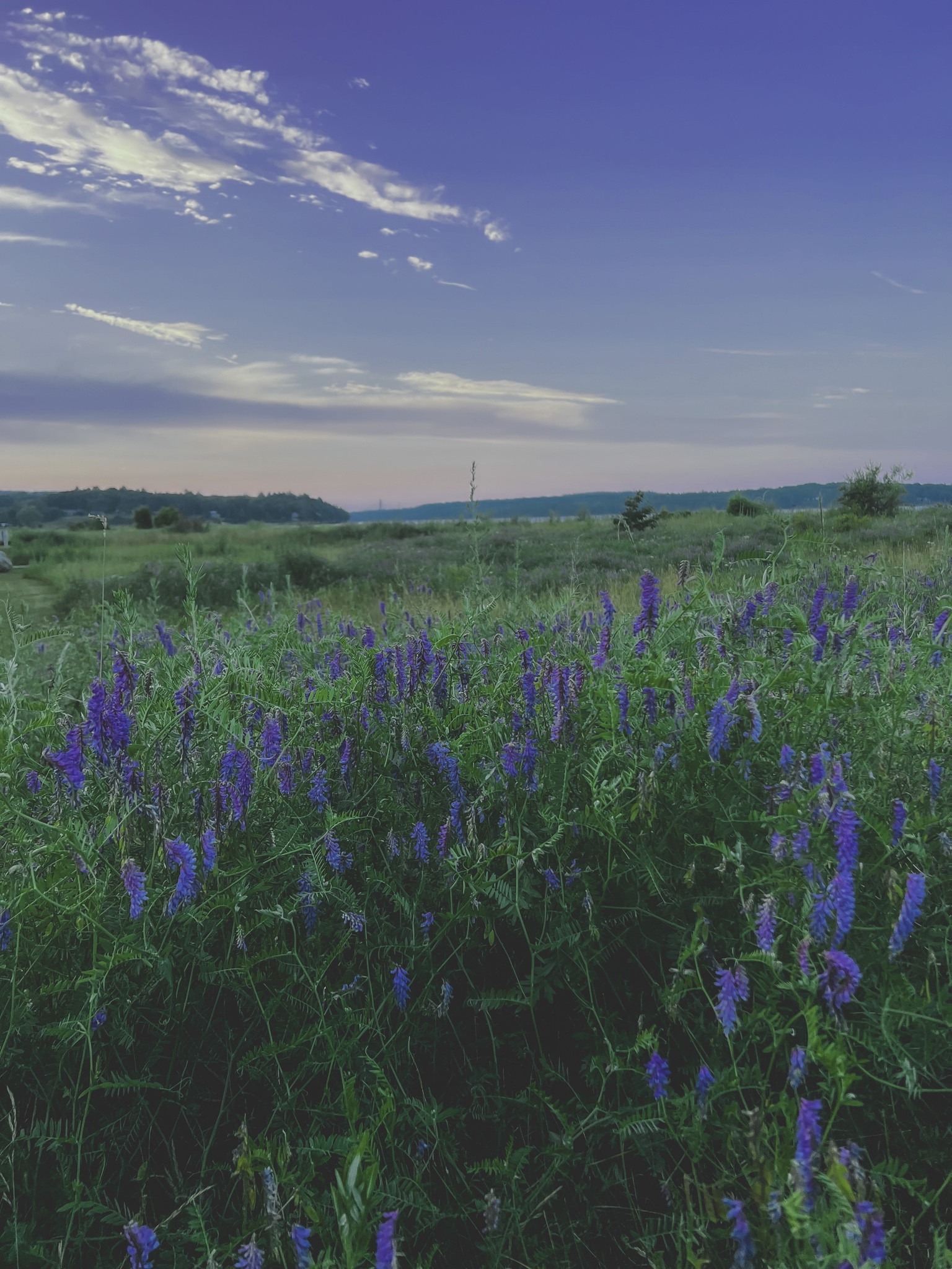 Summer isn’t over yet! Summer picks from the NSale!

#LTKSeasonal #LTKsalealert #LTKxNSale