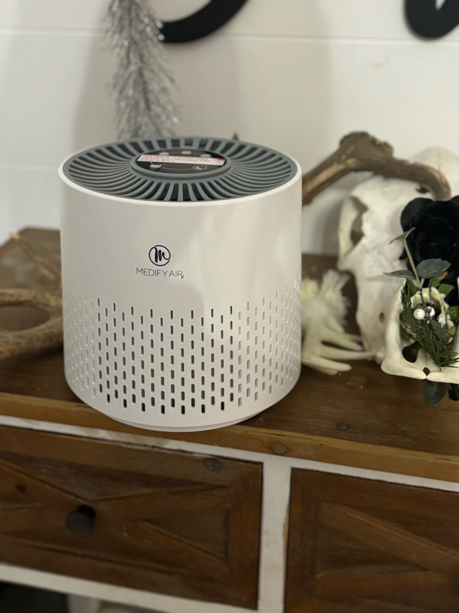 The best air purifier and a great gift 🫶🏼

#LTKHoliday #LTKFindsUnder100 #LTKHome
