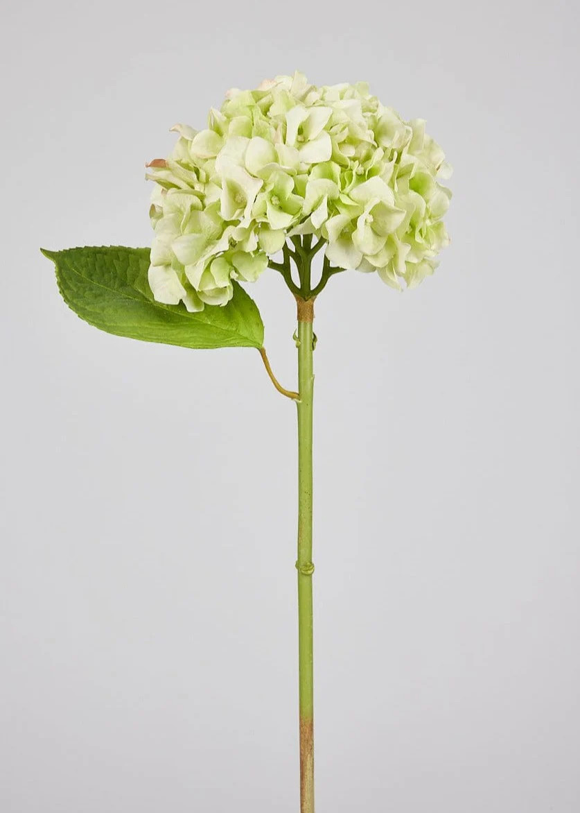 Green Real Touch Hydrangea | High-Quality Faux Flowers | Afloral.com | Afloral