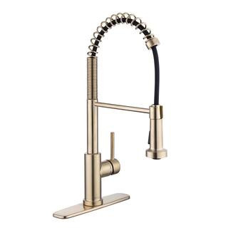 Paulina Single-Handle Spring Neck Pull Down Sprayer Kitchen Faucet in Matte Gold | The Home Depot