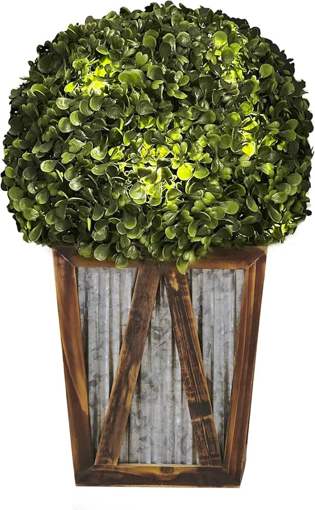 Teamson Home 18.25 in. Solar-Powered LED Pre-Lit Artificial Boxwood Topiary Shrub in. Farmhouse-S... | Amazon (US)