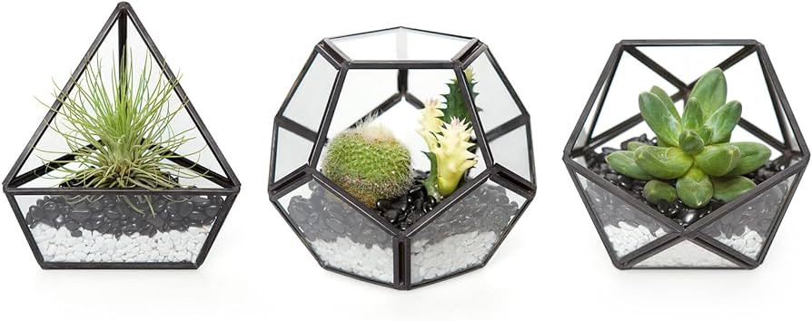 Mkono 4 Inches Mini Glass Geometric Terrarium Container Set of 3 Modern Tabletop Planter Shelves ... | Amazon (US)