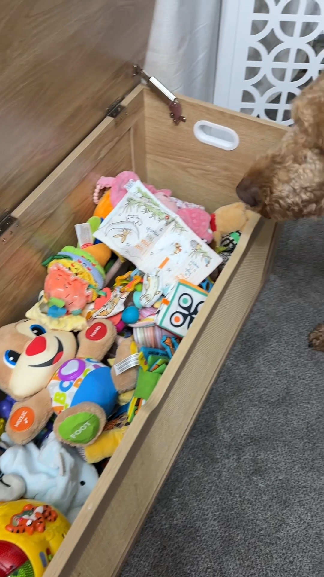 New toy chest for our girl T. ✨🧸🚂🪀 Loving the boho vibe of this. It is also available in black and pink. Its pretty great quality and wasn’t too tough to put togerher. The hardest part was attaching the top. Very spacious. I lined the bottom with easy grip shelf liner in Taupe to prevent scratches/damage to the bottom  

#LTKBaby #LTKHome #LTKKids