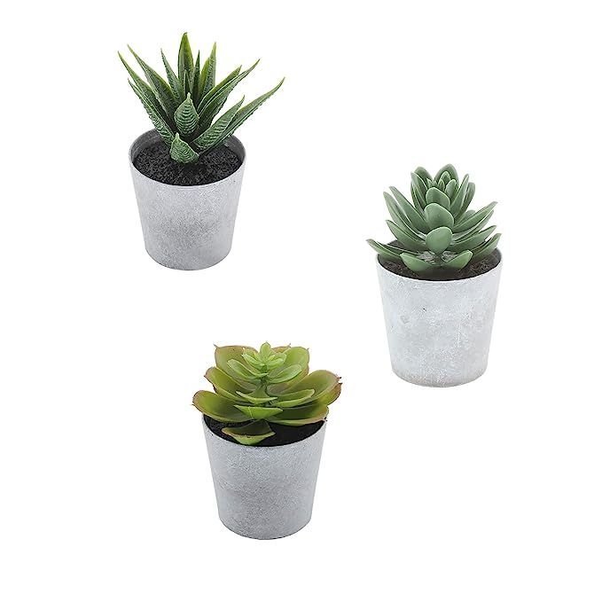 Artificial Succulents set of 3 Realistic Fake Plants with plastic Pots for Home and Office Decora... | Amazon (US)