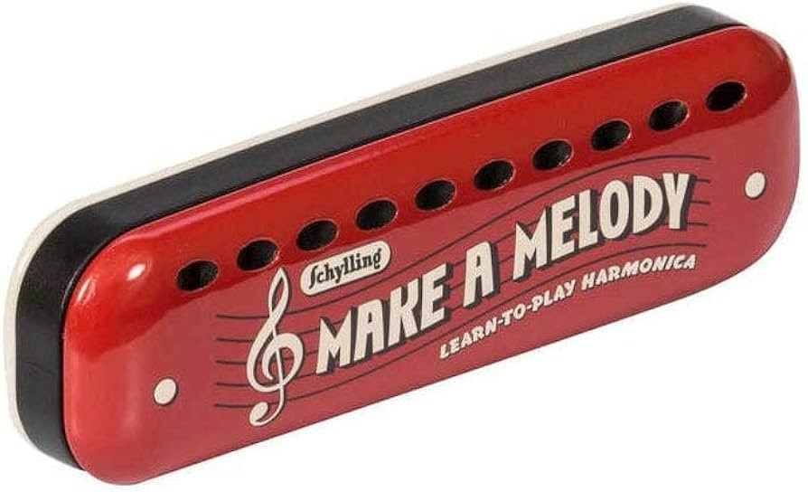 SCHYLLING Learn To Play Harmonica, 1 EA | Amazon (US)