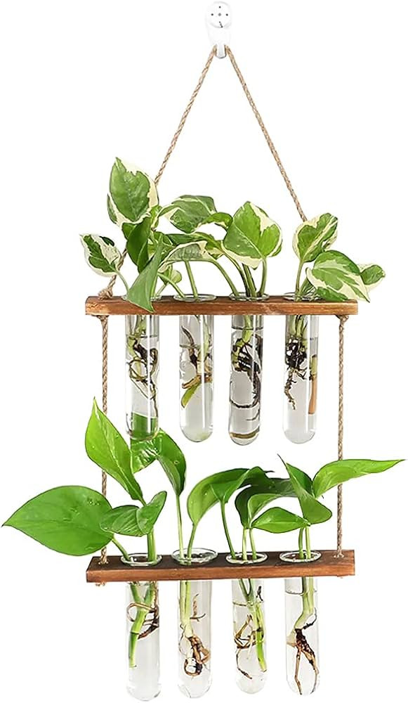 BUDDE Wall Hanging Planter, 2 Tiered Plant Propagation Stations Plant Terrarium with Wooden Stand... | Amazon (UK)