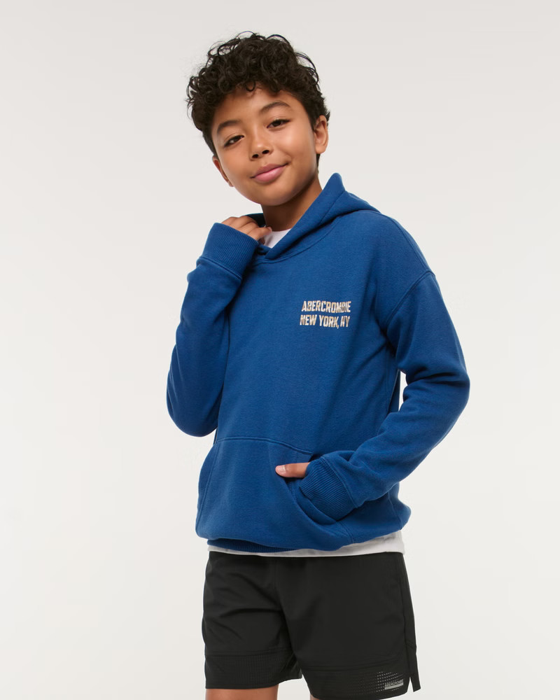 logo popover hoodie | Abercrombie & Fitch (US)