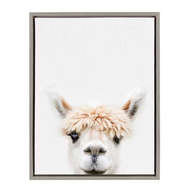 18" x 24" Sylvie Alpaca Bangs Canvas Wall Art by Amy Peterson Gray - Kate and Laurel | Target