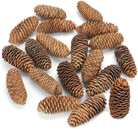 JOHOUSE 3.5-5Inch Natural Pine Cones, Big Pinecones, Christmas Natural Pinecone Ornaments Big Spr... | Amazon (US)