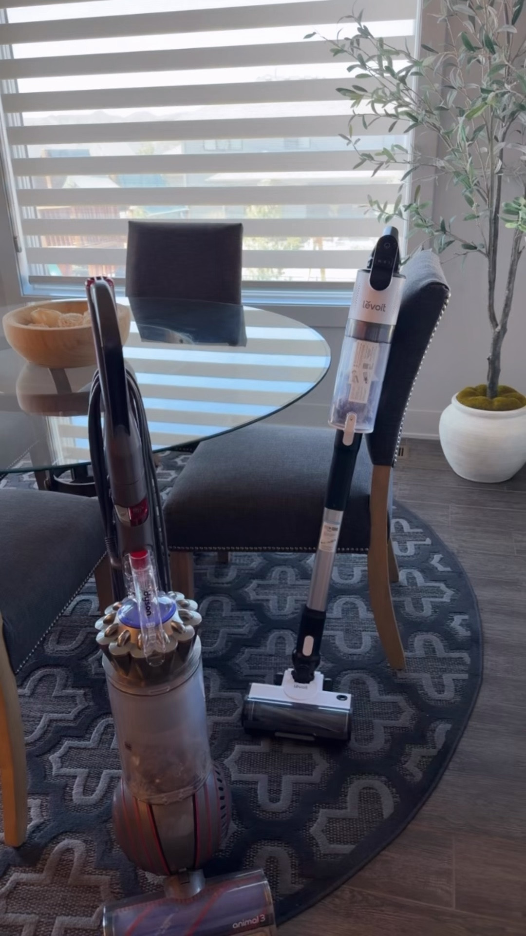 My favorite picks from the @Amazon Big Spring Sale! #ad #founditonamazon

#LTKSaleAlert #LTKPetite #LTKActive