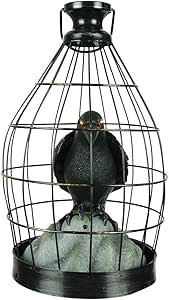 Gemmy Morris Costumes Crow in Cage Animated | Amazon (US)